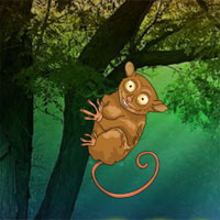 Wowescape Tarsier Fantasy Forest Escape Walkthrough