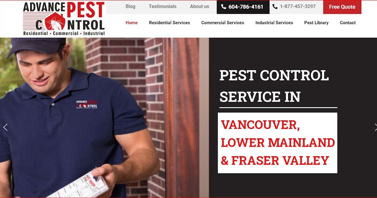 Pest control tsawwassen