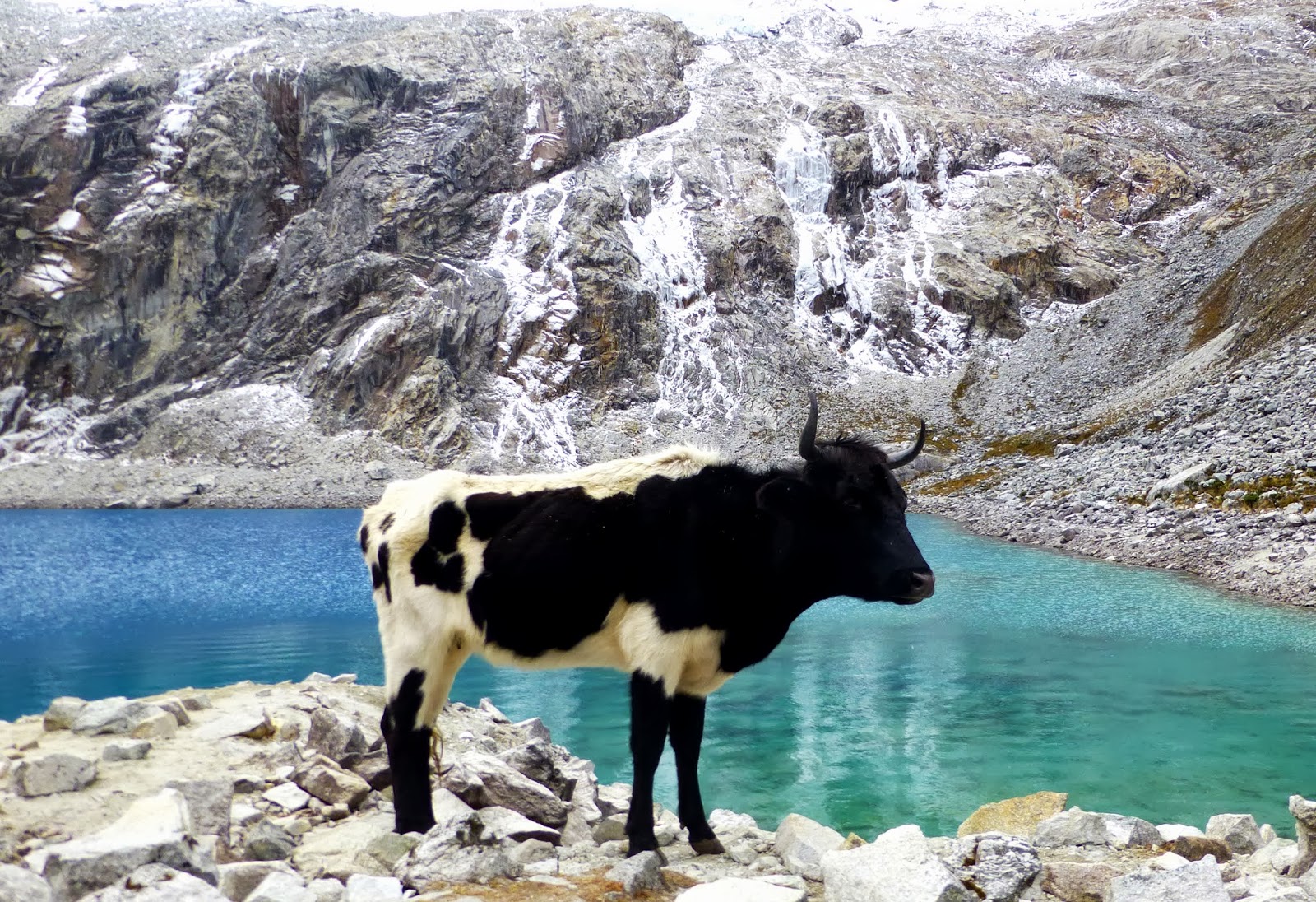 Sending The Gnar! ) Chacraraju Este Jaeger Route (ED1)