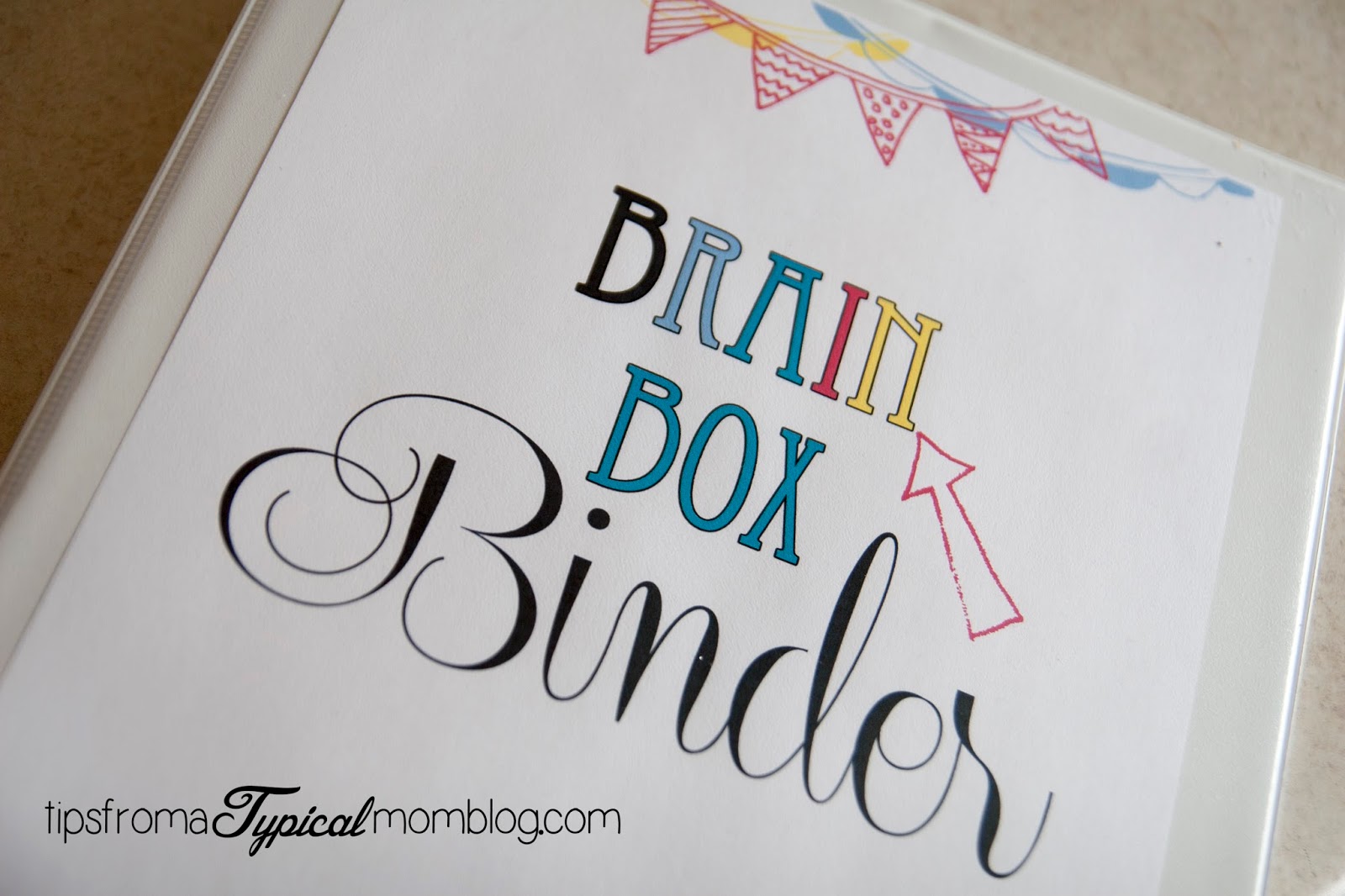 Just Say NO to Spring Cleaning and have a continually clean home all year round using this "Brain Box" binder from Tips From a Typical Mom.