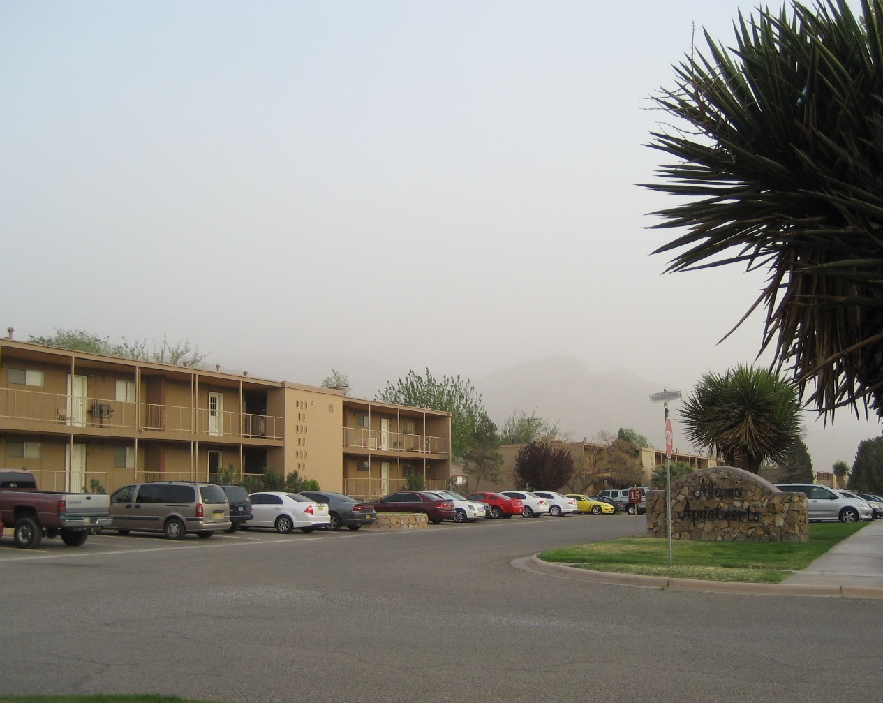 Living Rootless Alamogordo, NM The Disappearing (and Appearing