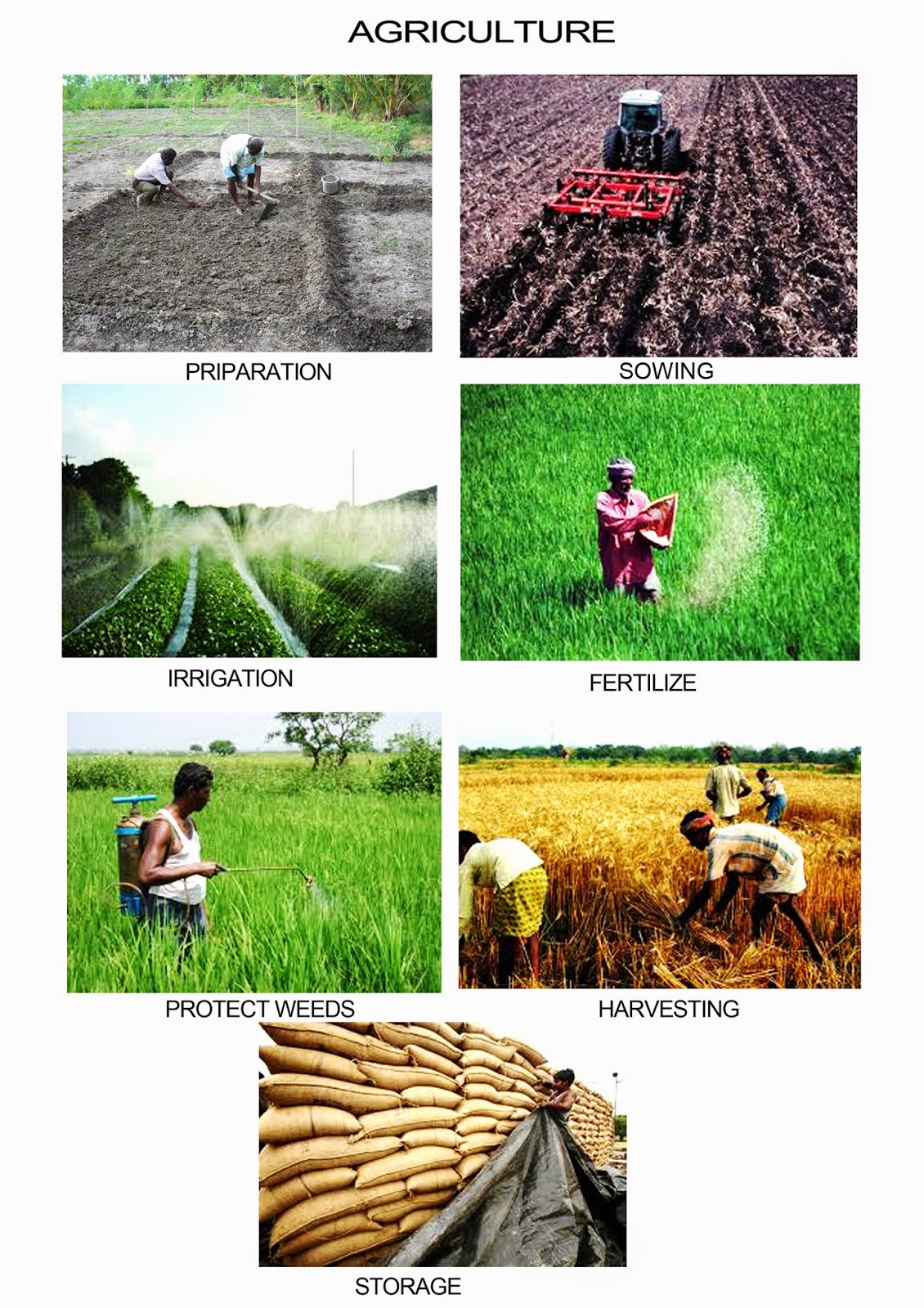 Different Stages Of Agriculture different-stages-of-agriculture