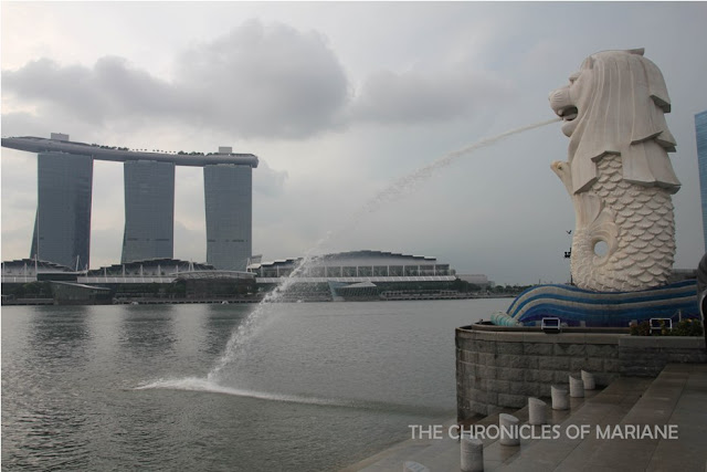 "university in singapore that teach programming"