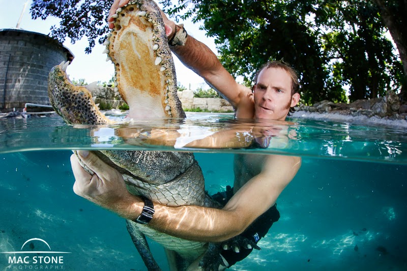 Mac Stone Photography Blog Swimming with Alligators... again