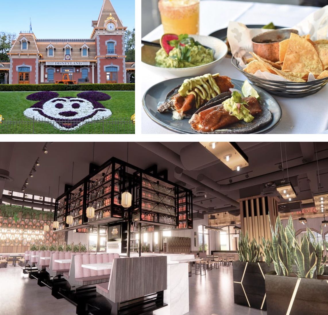 SanDiegoVille San Diego's Puesto Mexican Artisan Kitchen To Open