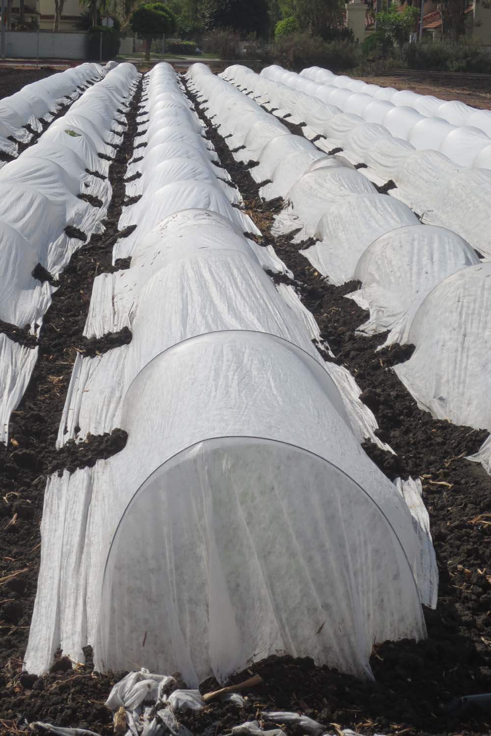 Agfabric Row cover types