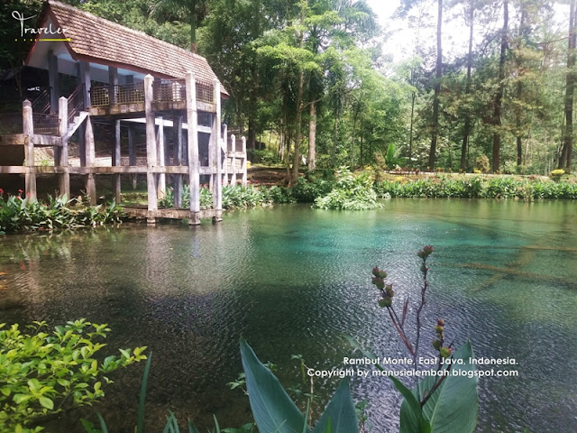 telaga rambut monte