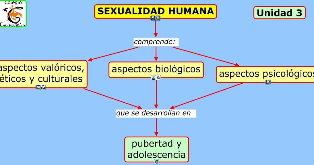 Mapa conceptual de aspectos de la sexualidad humana