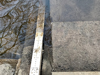 Measure at side of the SEPA Monitoring Site, Craighall building showing water levels.  It is a silver coloured ruler type measure going down the bank into the river.  Photo by Kevin Nosferatu for the Skulferatu Project