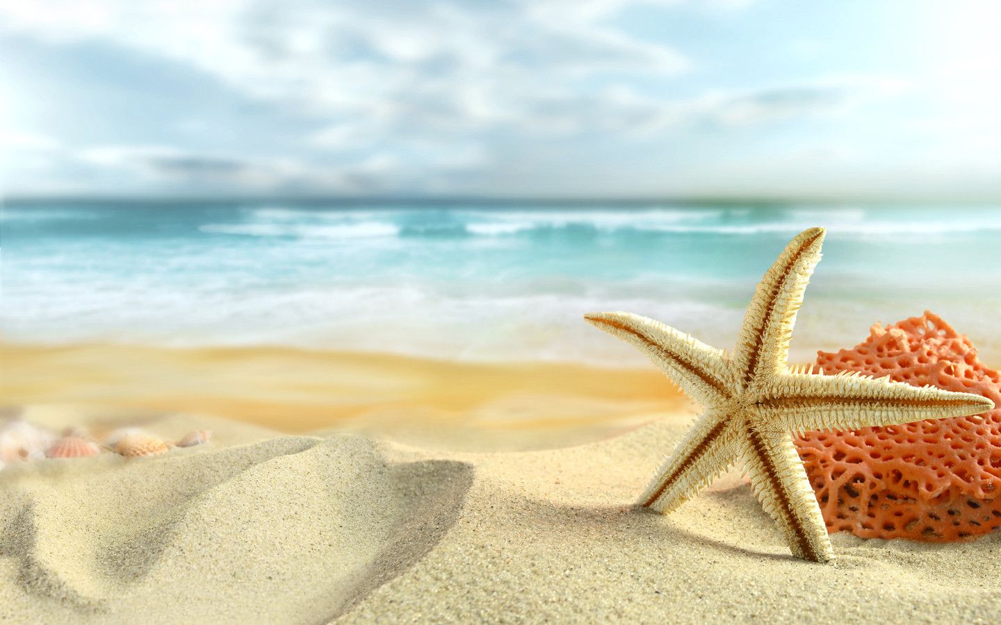 Yaz Duvar Kağıtları (Summer Wallpapers) Yaz Duvar Kağıtları (Summer Wallpapers)