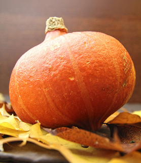 squash onion salad autumn grown becoming british
