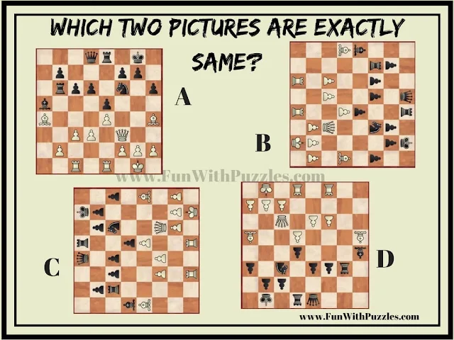 Spot the Identical Chess Pictures: Chess Players Challenge