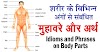 शरीर के विभिन्न अंगों से संबंधित मुहावरे और अर्थ