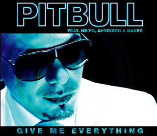 Pitbull Give Me Everything HD Wallpaper