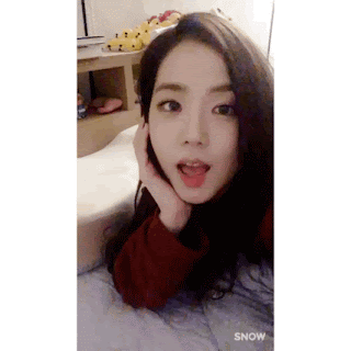 신년맞이 블랙핑크 지수 레전드 움짤 모음(※데이터조심)