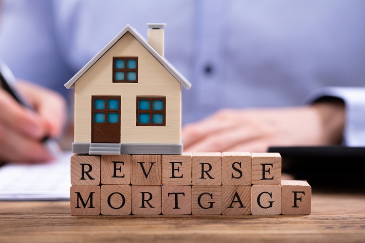 Reverse Mortgage Specialist Greenville A Guide To The Basics Of Reverse Mortgage