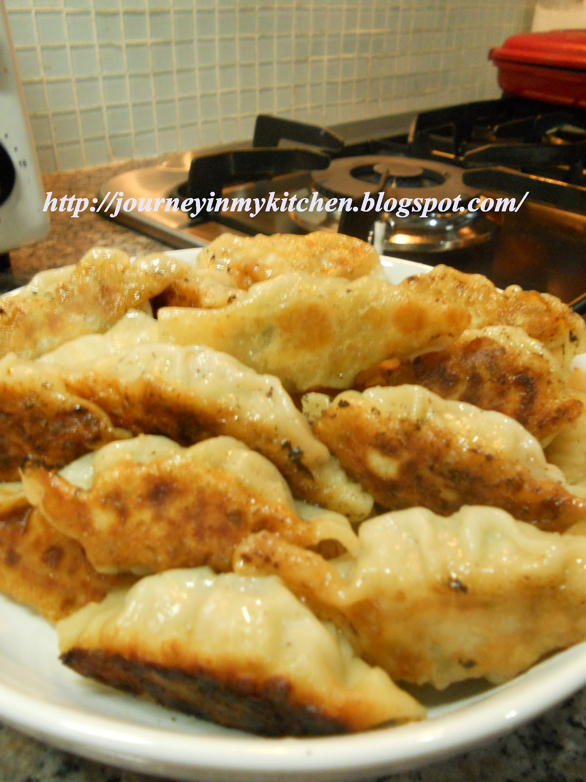 Journey in My Kitchen Fried pork dumpling