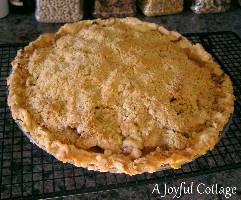 Excellent Dutch Apple Pie