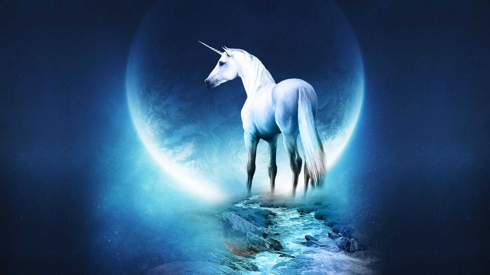 unicorn wallpaper