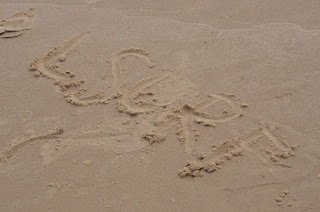 LSURF 8-letnia Ola na morzu