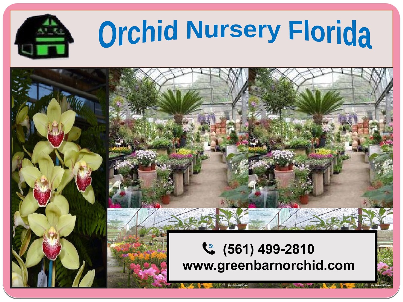 Best Orchid Nursery Green Barn Orchid Supplies in USA