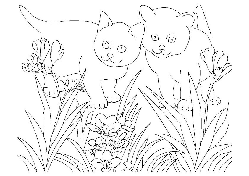 28 Animal Colouring Pages Printable - DANA MILENIAL