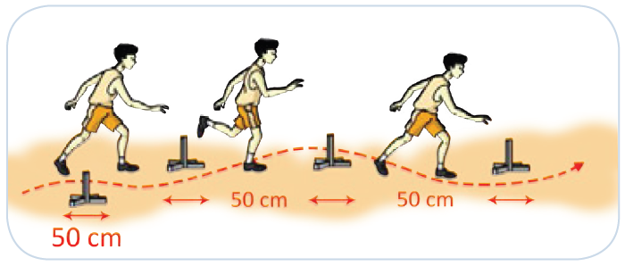 9 Jenis Latihan Kelincahan Agar Tubuh Bergerak Aktif - Fitnes Tips