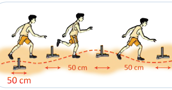 9 Jenis Latihan Kelincahan Agar Tubuh Bergerak Aktif Fitnes Tips