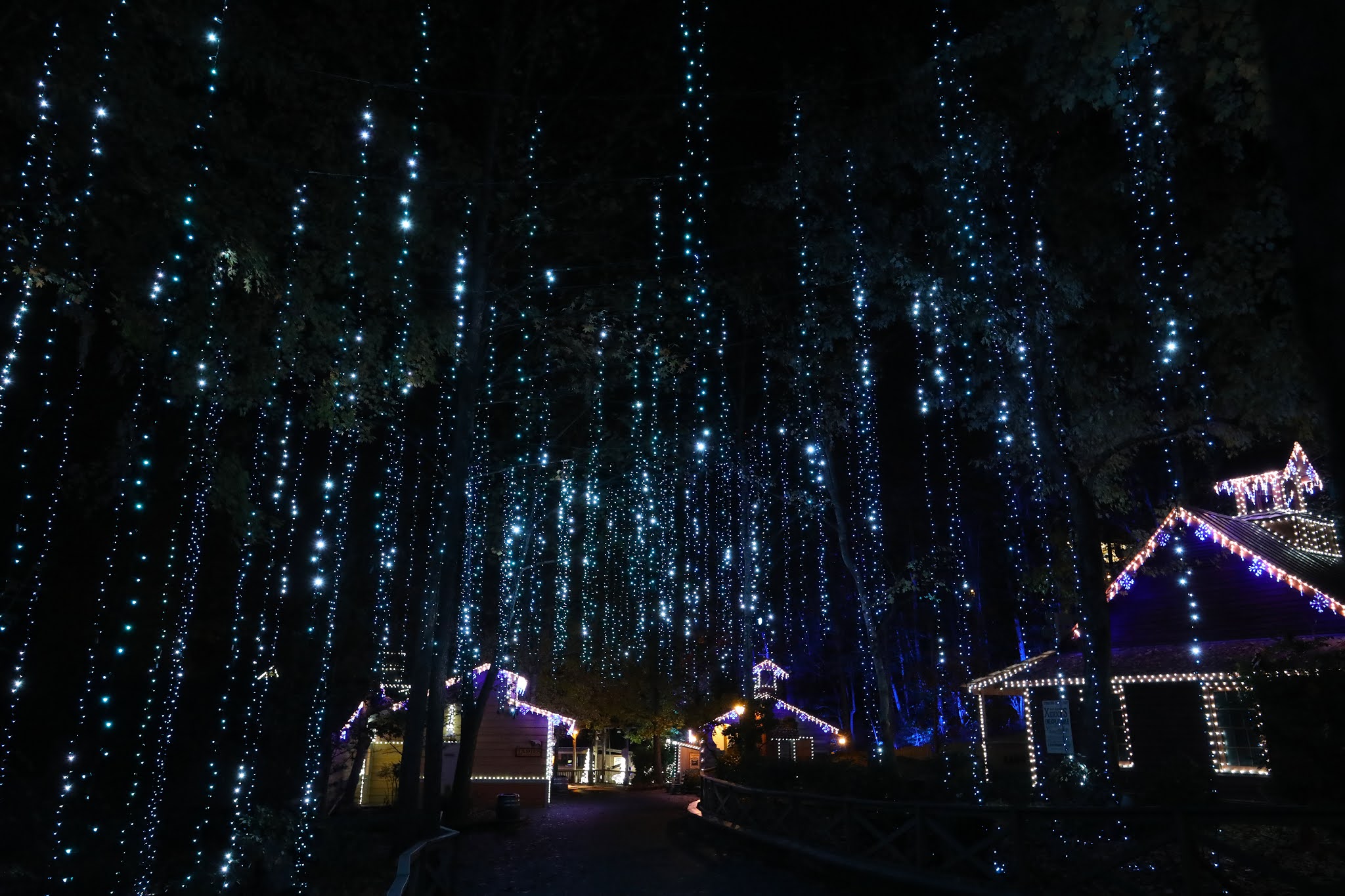 Air101 Dollywood’s Smoky Mountain Christmas Wraps Families in the