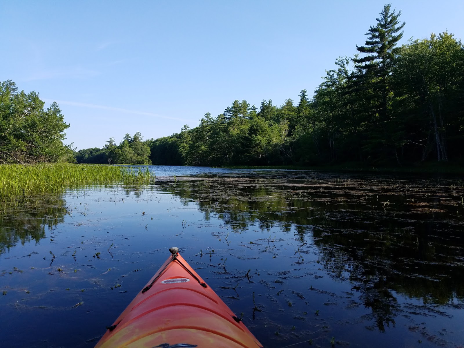 Recreational Kayaking in Maine Saco River, Standish