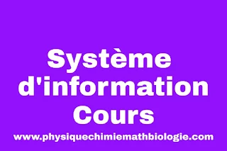 Cours d'Système d'Information PDF