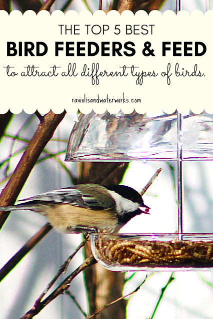 bird feeders you need to attract birds to your yard