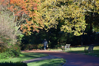 A man walks through colourful trees in Autumn