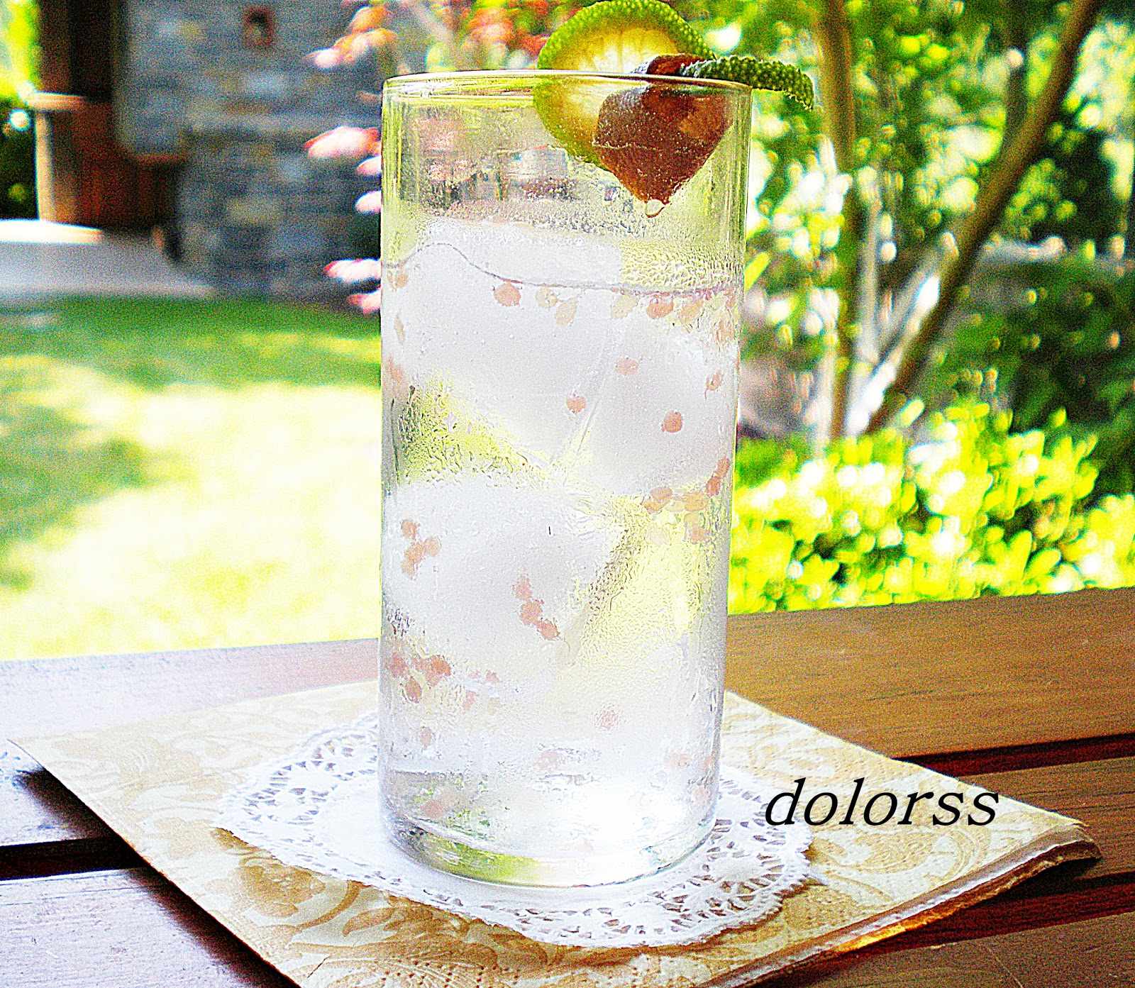 Blog de cuina de la dolorss Gin tonic