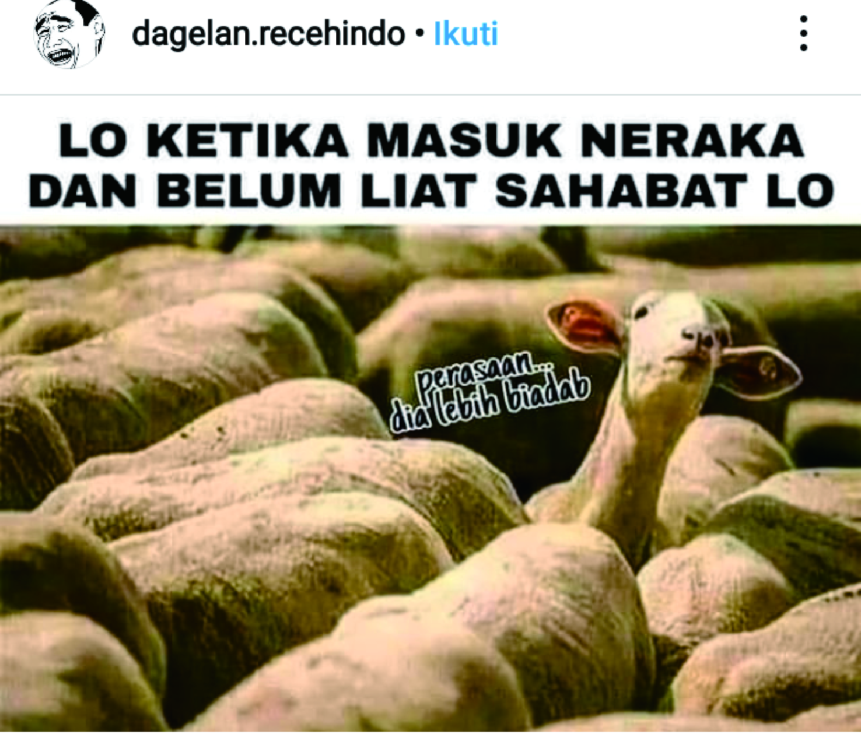 Gambar Lucu Terbaru Gambar Lucu Terbaru