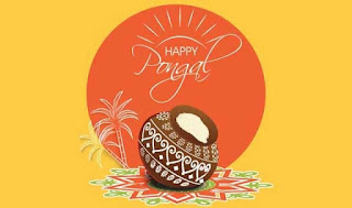 happy pongal greeting card