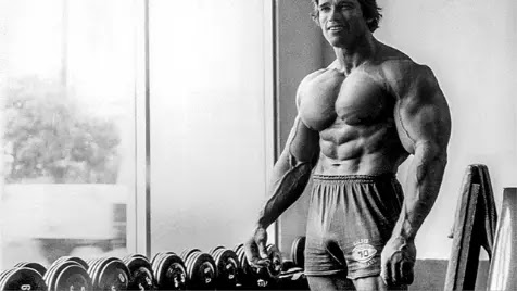 Long term bodybuilding success secrets Long term bodybuilding success secrets