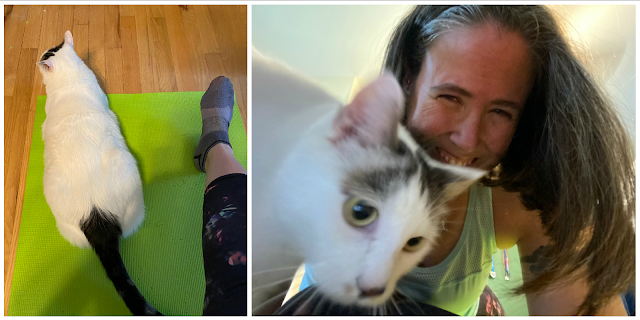 Two photos: on left Pickles sitting on a green yoga mat next to my outstretched leg; on right: me laughing because Pickle is butting up against my head between me and the camera