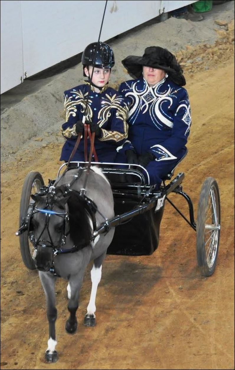 Solomon's words for the wise Hamilton Places at PA State 4H Horse Show