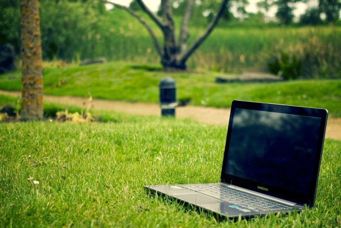 computadora portátil en la hierba