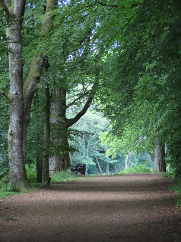 B's Photos Laggan Hill Walk (Crieff, Perthshire, Scotland)