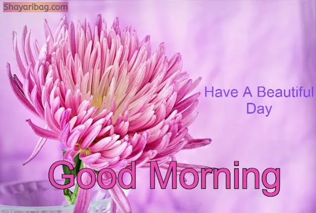 Good Morning Flowers Good Morning Flowers