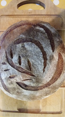 Ilus leib