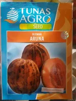 blewah aruna, garbis, jual benih tunas agrom jual benih blewah, budidaya blewah, toko pertanian, toko online, lmga agro