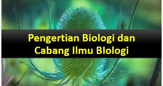 Pengertian Biologi dan Cabang-cabang Ilmu Biologi - BSB
