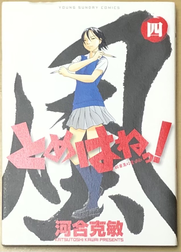 これを読んだら書道がやりたくなるオススメの書道マンガ「とめはねっ！」ペン習字のある生活