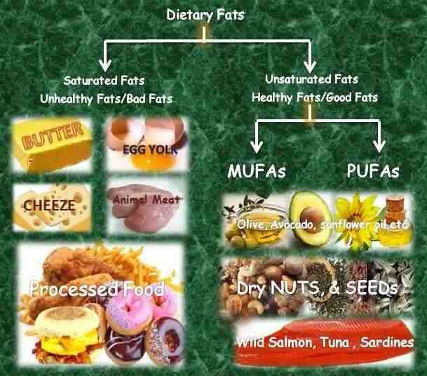 Food Sources Of Dietary Fats, MUFA's, PUFA's