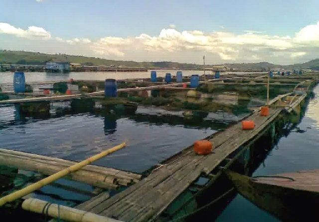 infrastruktur tambak budidaya