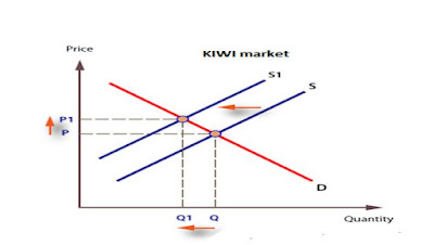 Impact of negative changes  There is decrease in supply (shift the demand curve left/ up) due to negative change in determinants of Kiwi. Negative changes result in a decrease of quantity and increase in price. Initially equilibrium point is at P and Q but when there is leftward shift in supply curve the price Kiwi has gone up and quantity supplied went down.
