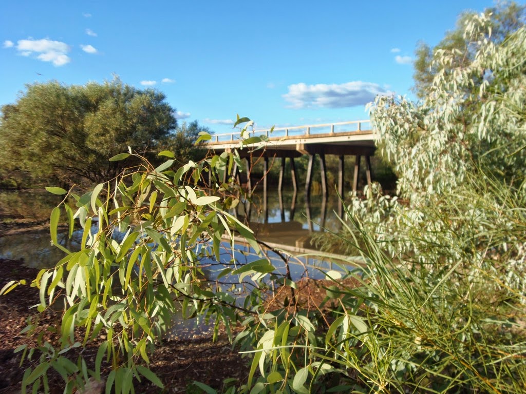 Solo Steve On The Road NEWCASTLE CREEK BRIDGE, A TRUE FREE CAMP